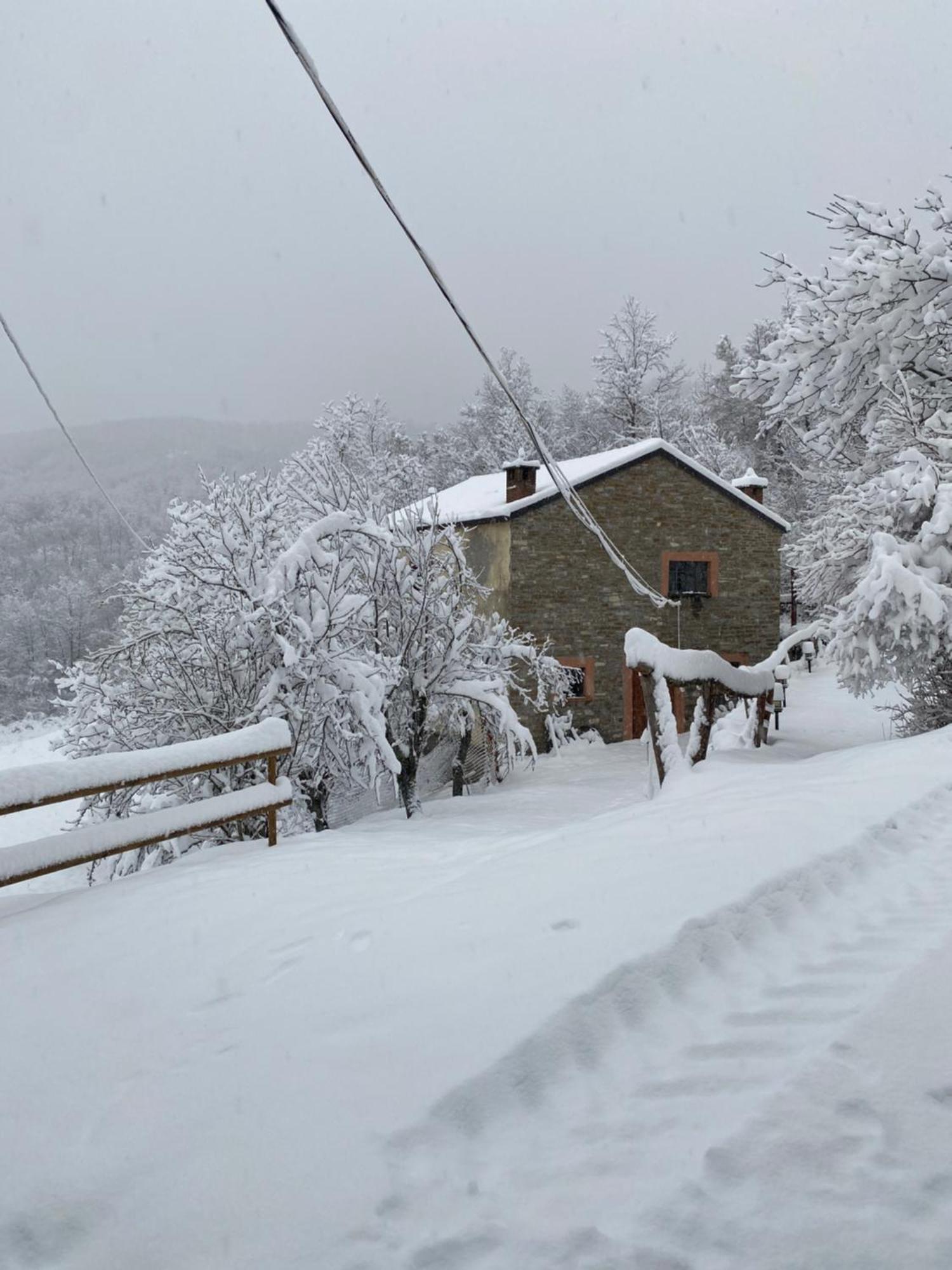 La Lupa E L'Orso Bed & Breakfast Berceto Exterior photo