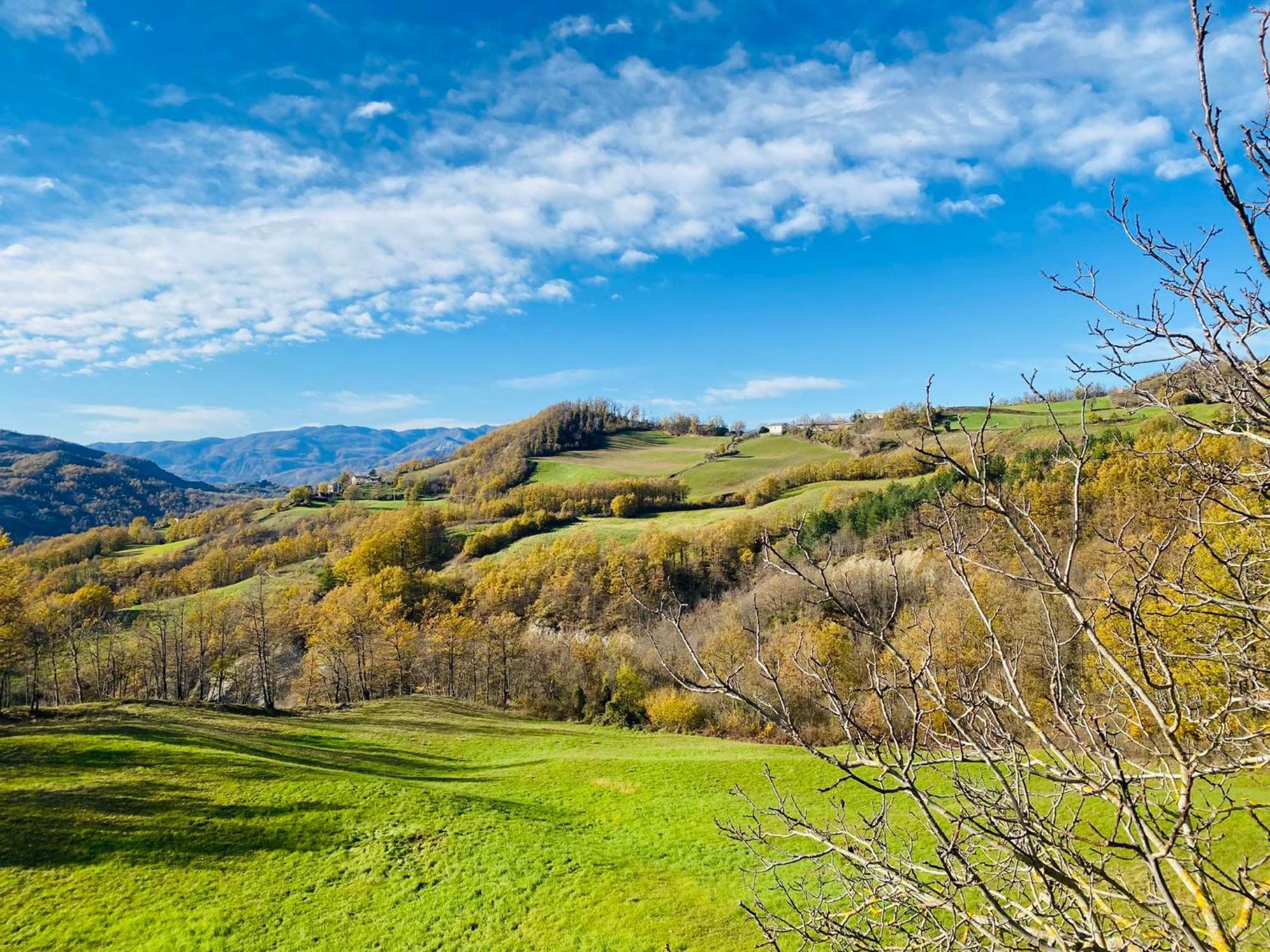 La Lupa E L'Orso Bed & Breakfast Berceto Exterior photo